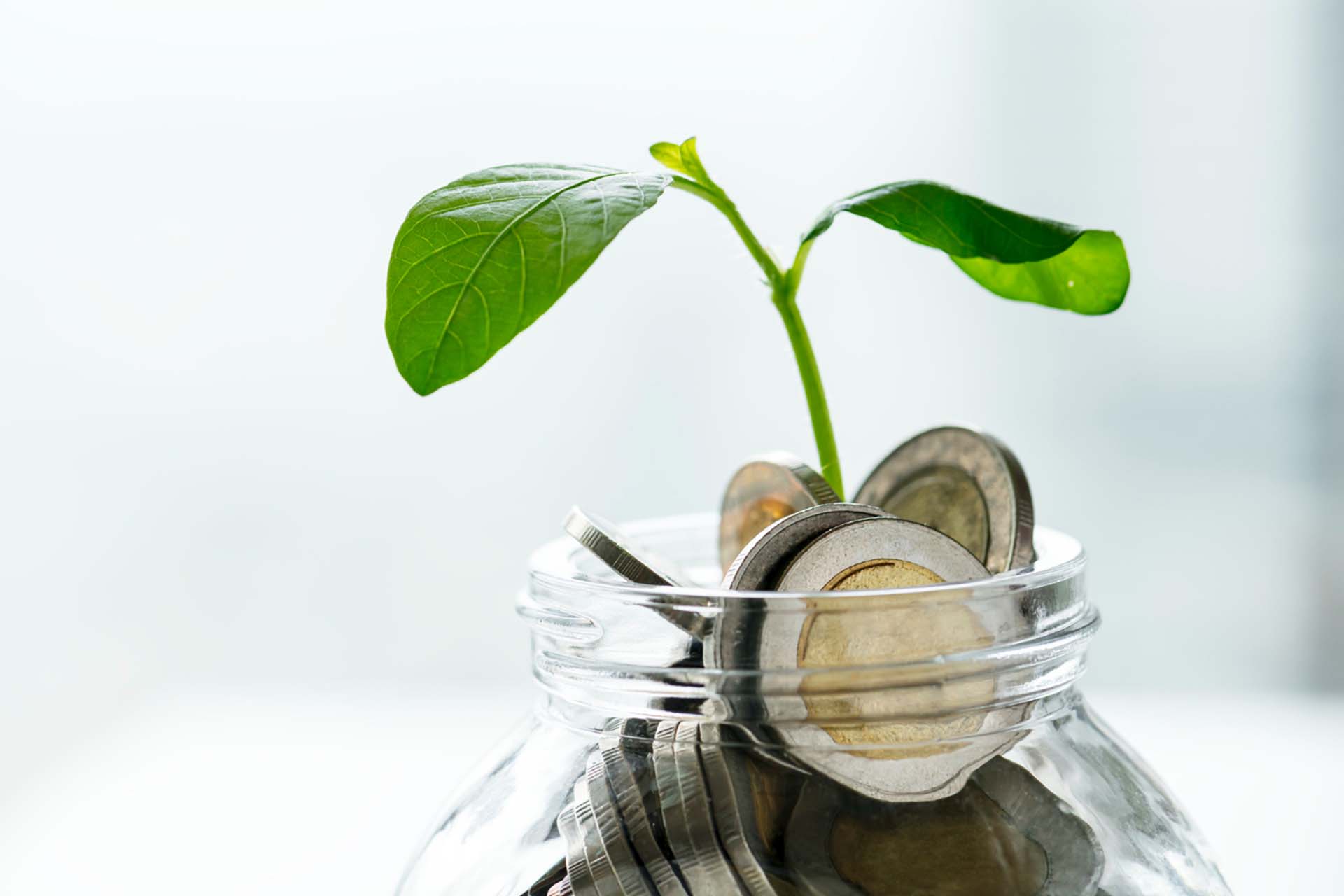 shot of financial concept